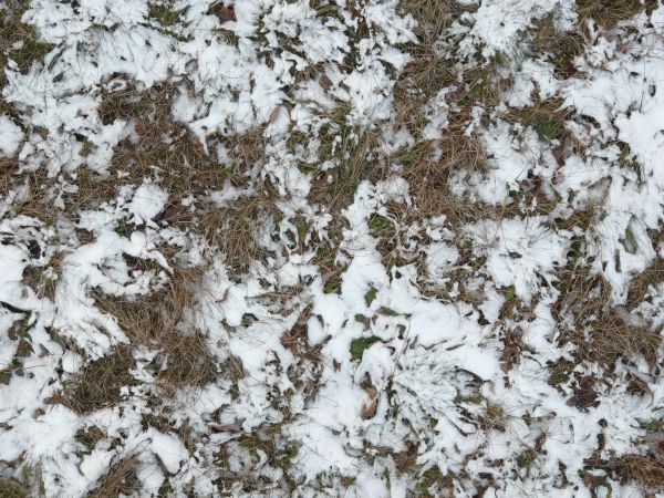 frozen ground texture