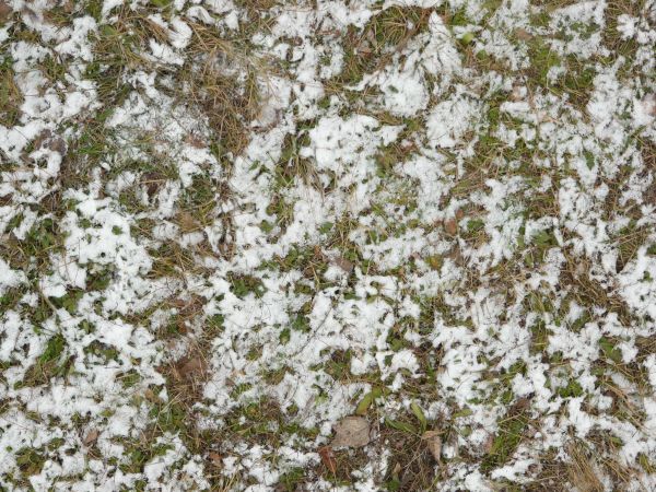 frozen ground texture