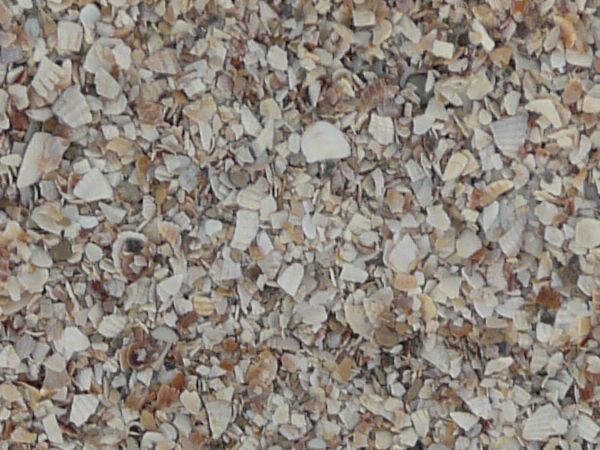 Pebble texture made up of tiny fragments of brown and white shells