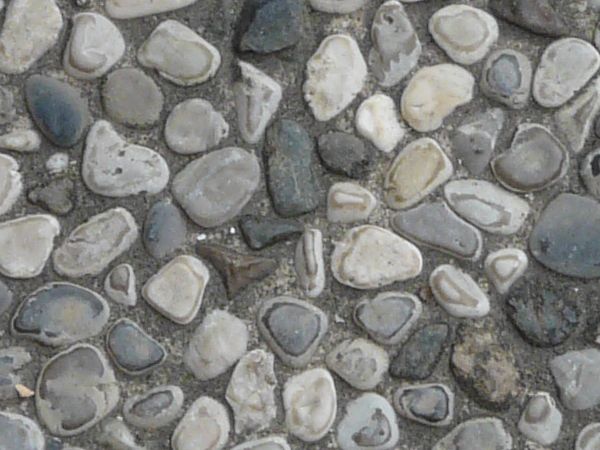 Grey pebble texture, with various light and dark rocks, spread out evenly across a surface.