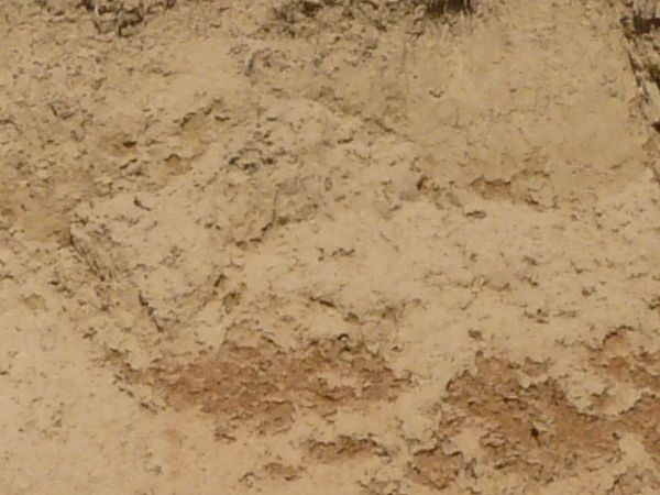 Slope texture of rough tan and reddish dirt, with small gren weeds visible in its surface.