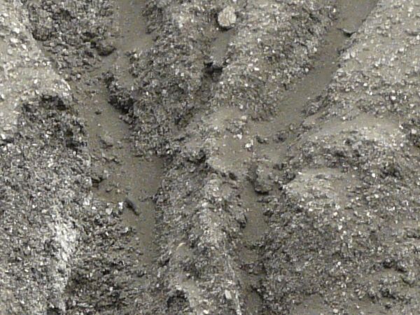 Grey slope texture with deep rain marks running down it. Small white rocks are visible in its surface.