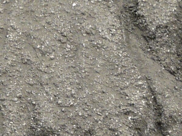 Grey slope texture with deep rain marks running down it. Small white rocks are visible in its surface.