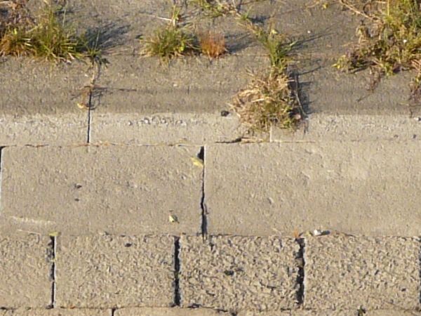 Slope texture with strips of brown and green grass leading down to a grey stone path. Below the path is a patch of dark rocky soil and an area of dark water.