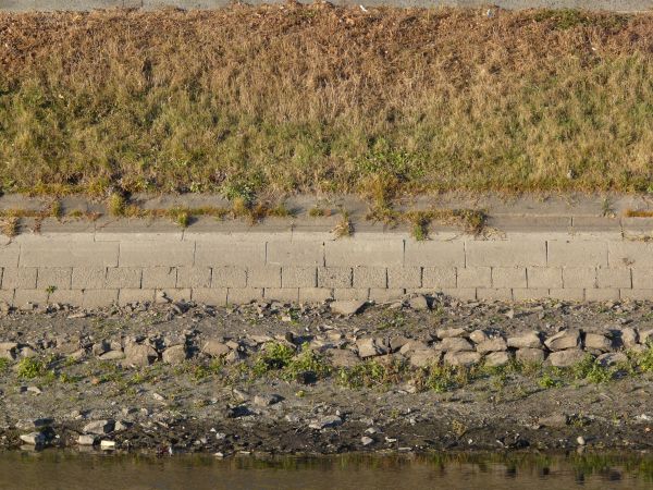 Slope texture with strips of brown and green grass leading down to a grey stone path. Below the path is a patch of dark rocky soil and an area of dark water.