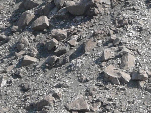 Rocky grey slope texture covered with grey and red rocks of various shapes and sizes.