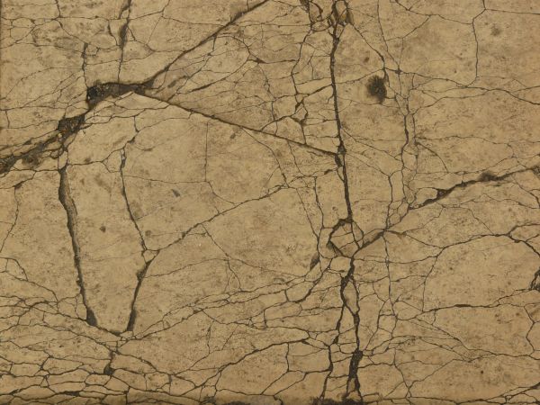 Concrete texture in tan color with myriads of thin cracks.