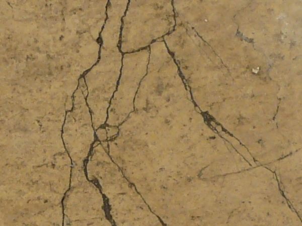 Rough stone in light beige color with myriads of cracks in surface and dirt in cracks.
