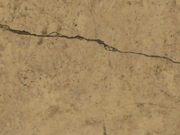 Rough stone in light beige color with myriads of cracks in surface and dirt in cracks.