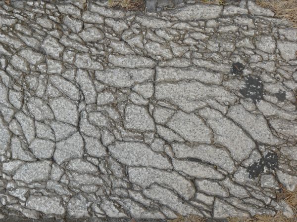 Cracked cement pathway with black tar in cracks and rough texture on surface.