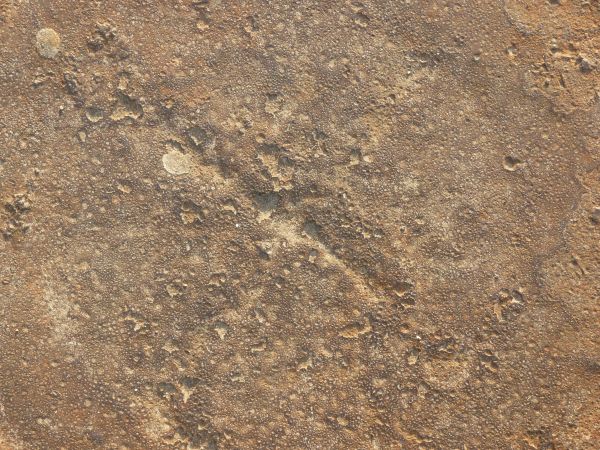 Rough metal texture in shiny, bronze tone with small craters and scratches on surface.