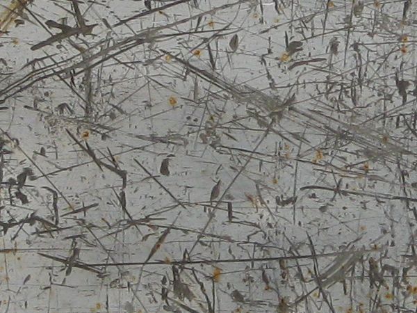 Old metal texture in grey color with dents and many scratches.