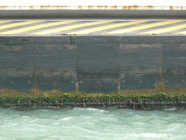 Metal base texture with rust and algae at the bottom.