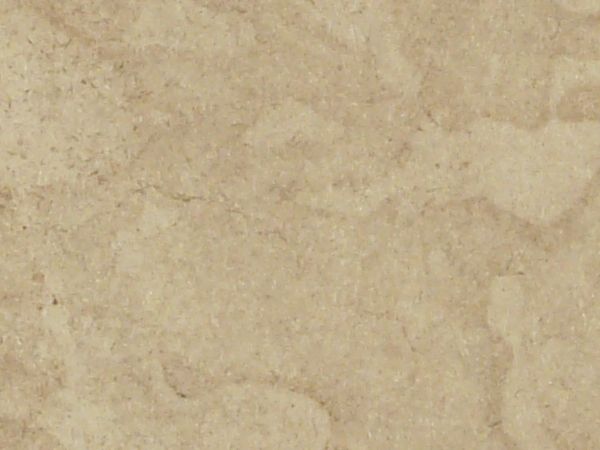 Paper texture with irregular torn edges, covered in various light and dark blotches.