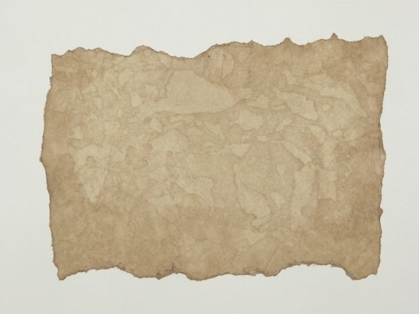 Paper texture with irregular torn edges, covered in various light and dark blotches.
