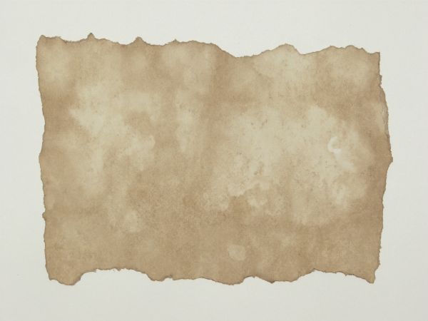 Paper texture with irregular torn edges, covered in various light and dark blotches.