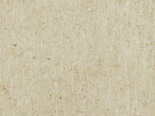 White paper texture with a smooth, fibrous surface that has flecks of brown.