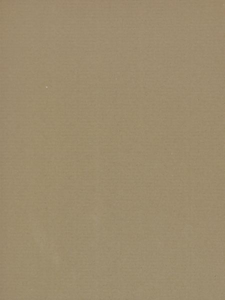 Paper texture with a pattern of horizontal lines faintly visible in the tan surface.