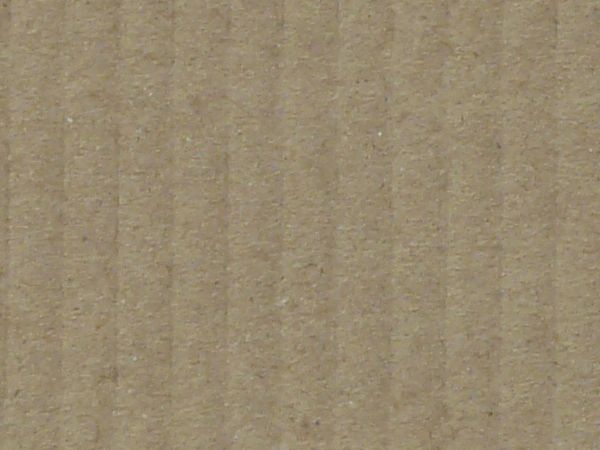 Paper texture with a pattern of horizontal lines faintly visible in the tan surface.