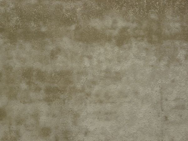 new plaster  texture