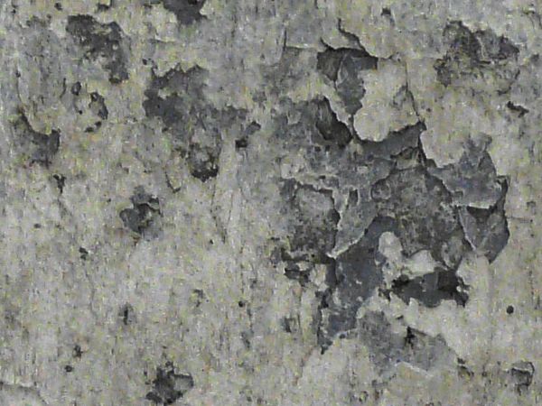 painted plaster  texture