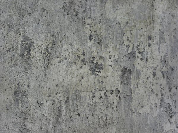 painted plaster  texture