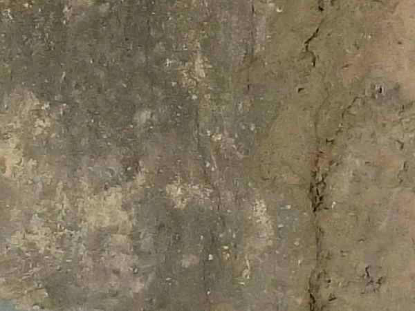 painted plaster  texture