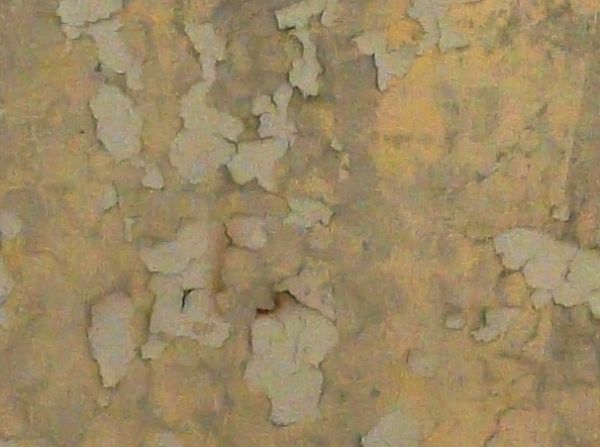 painted plaster  texture