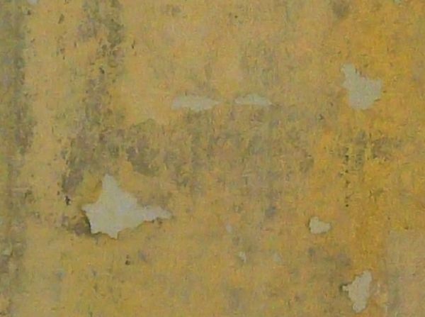 painted plaster  texture