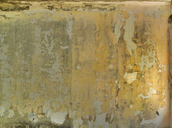 painted plaster  texture