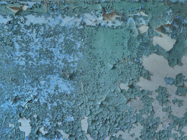 painted plaster  texture