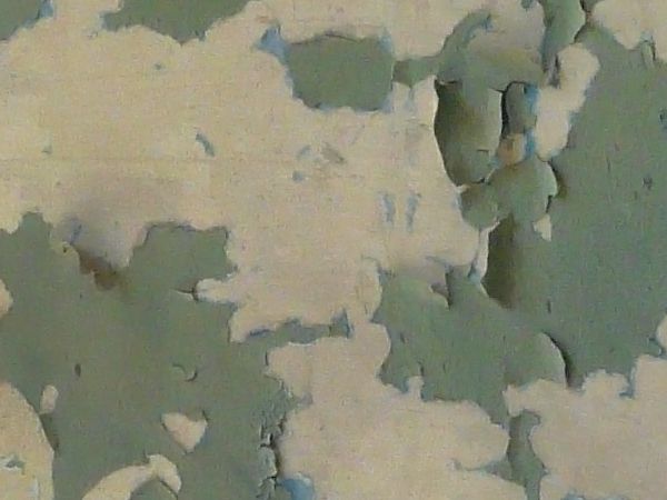 painted plaster  texture