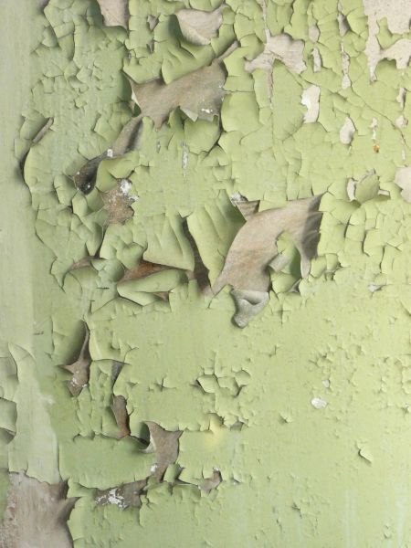 painted plaster  texture