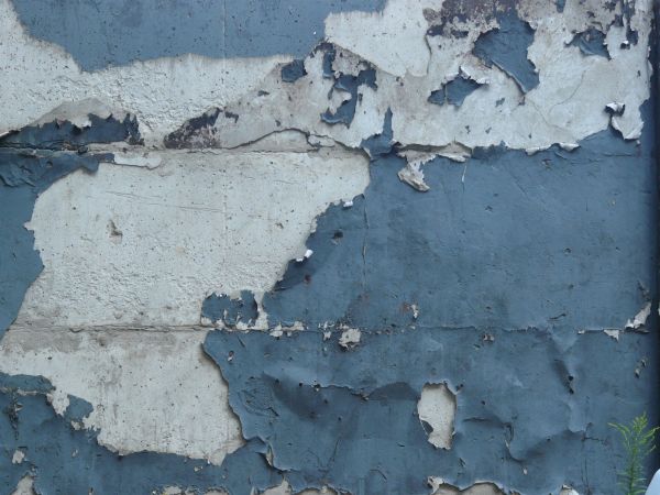 painted plaster  texture