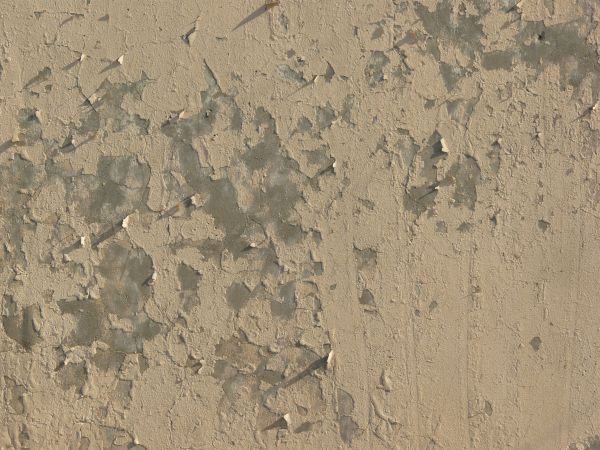 painted plaster  texture