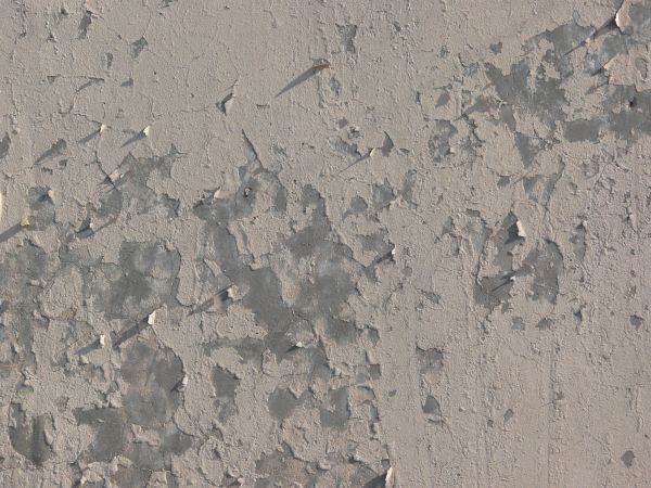painted plaster  texture