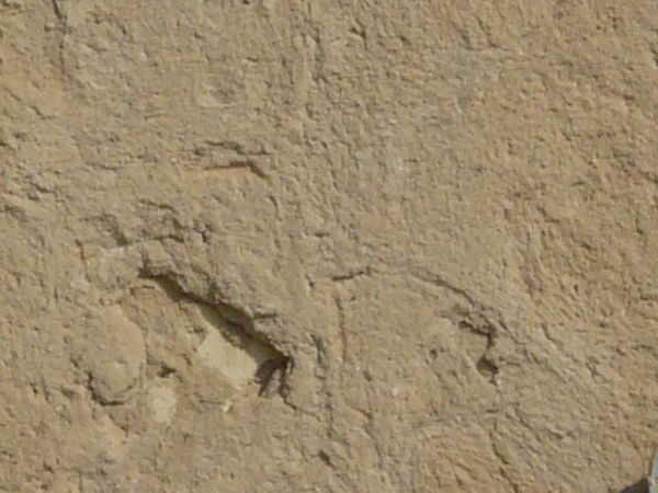 painted plaster  texture