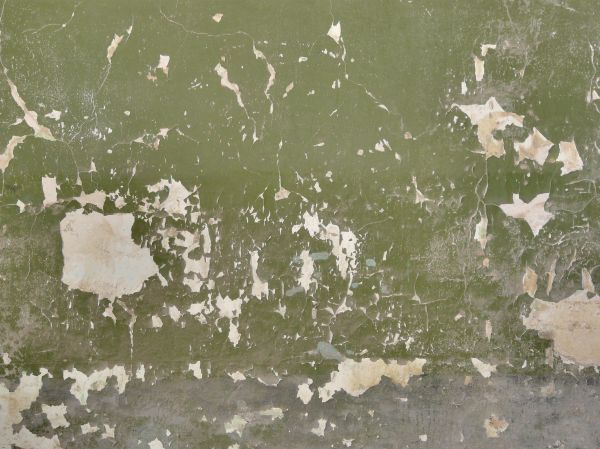 painted plaster  texture