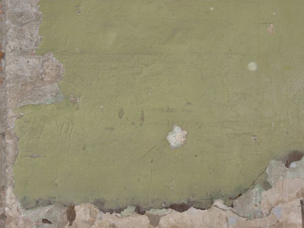 painted plaster  texture