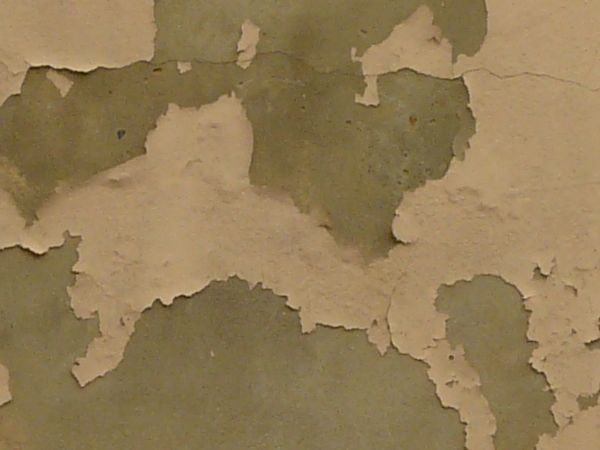 painted plaster  texture