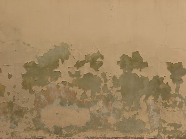 painted plaster  texture
