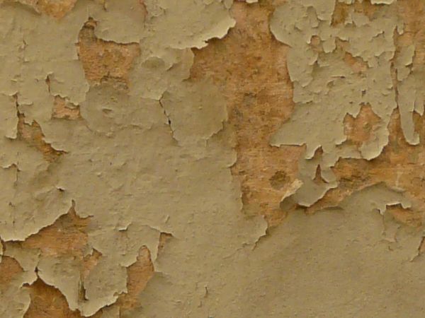 painted plaster  texture