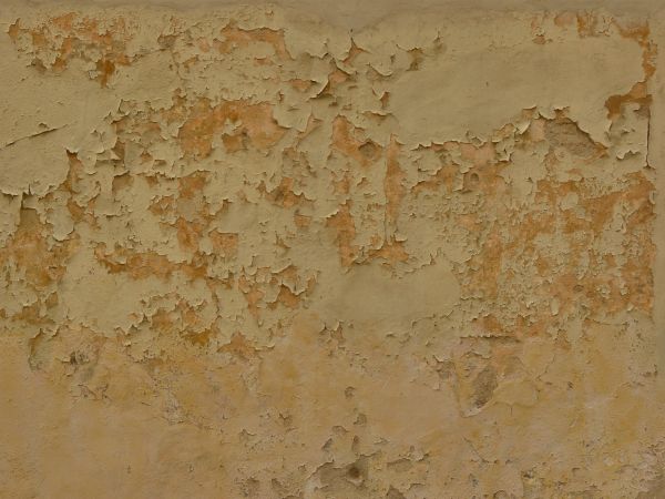 painted plaster  texture