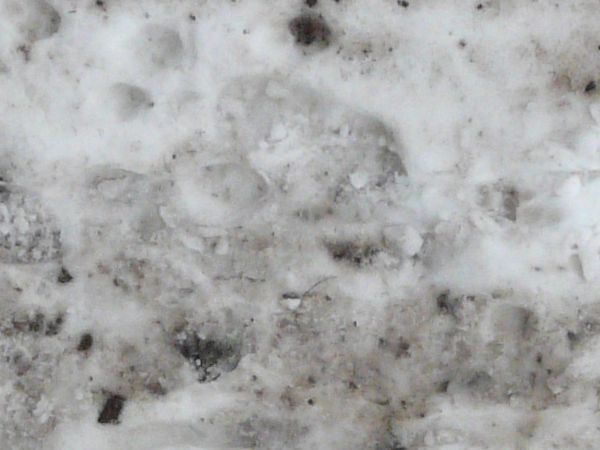 Railroad texture, set in a surface of dirty, print-covered snow. Small sticks and stones are also visible in the snow.