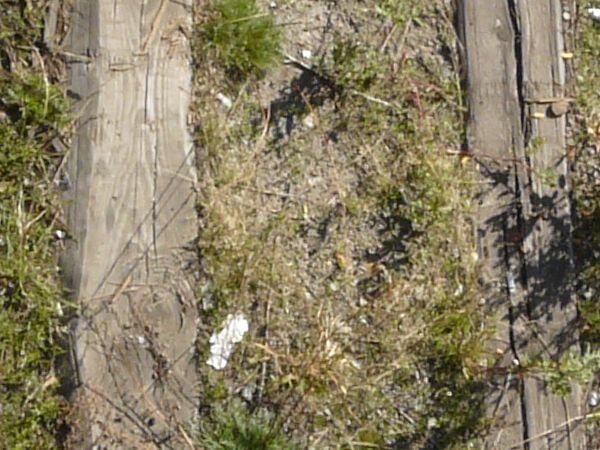 Broken railroad ties texture, set in a grassy, sandy surface and without connecting rails.