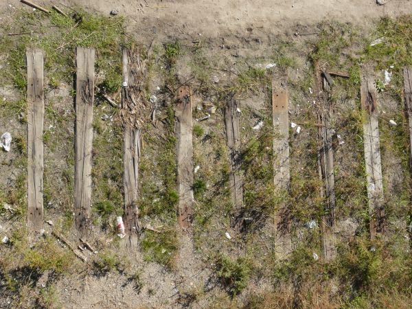 Broken railroad ties texture, set in a grassy, sandy surface and without connecting rails.