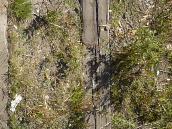 Broken railroad ties texture, set in a grassy, sandy surface and without connecting rails.