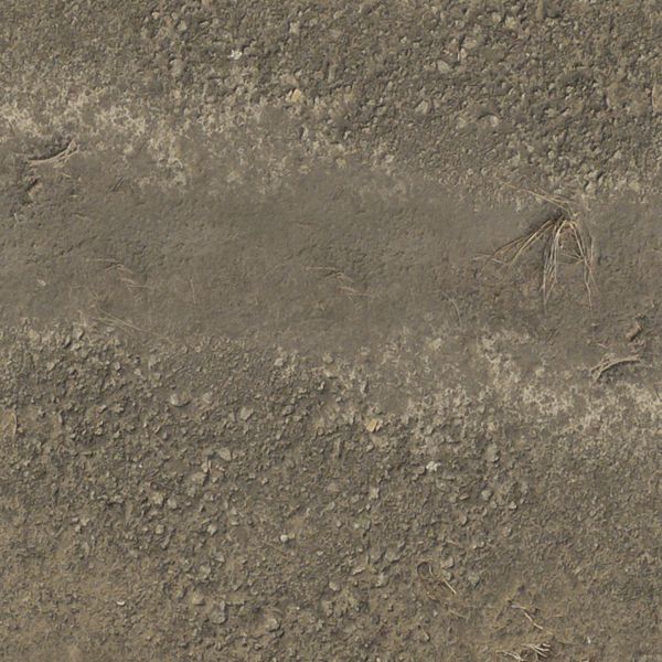 Old, seamless texture of asphalt road with very rough surface and vegetation at edges.
