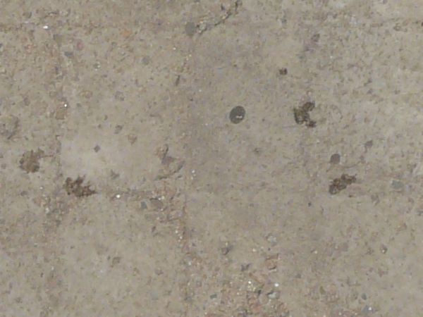 Seamless road texture consisting of slabs of grey concrete with dirty surface.