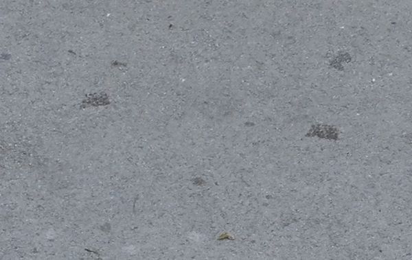 various road  texture